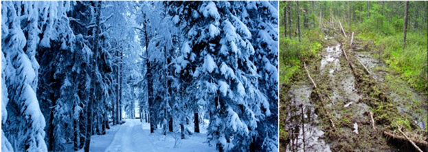 Fig2. Conditions hivernale et printanière