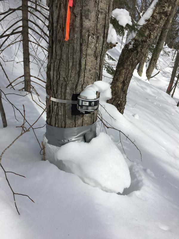 Station de biologie des Laurentides-5